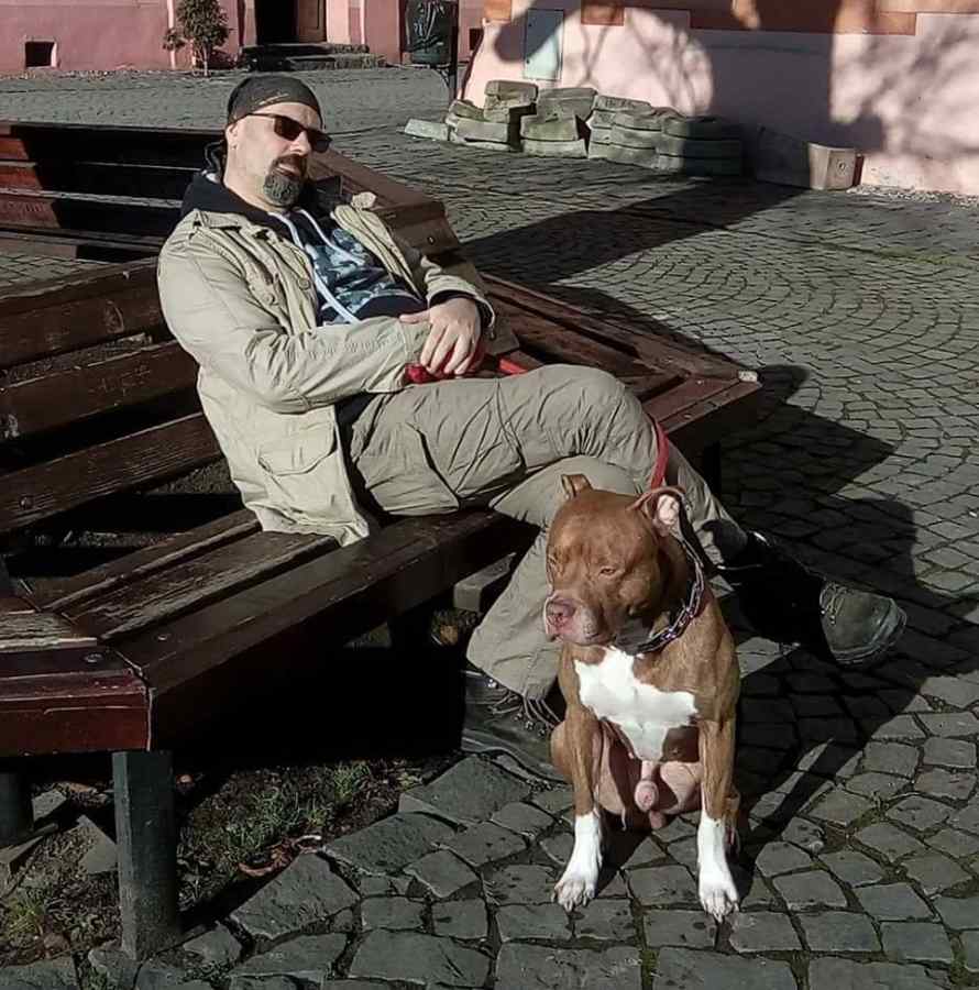 Fiul lui Andrei Pleșu, sub control judiciar