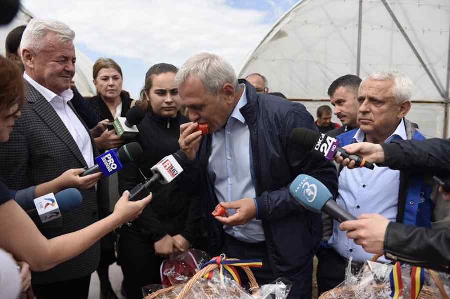 Tremură PSD? Reacția partidului la anunțul lui Dragnea
