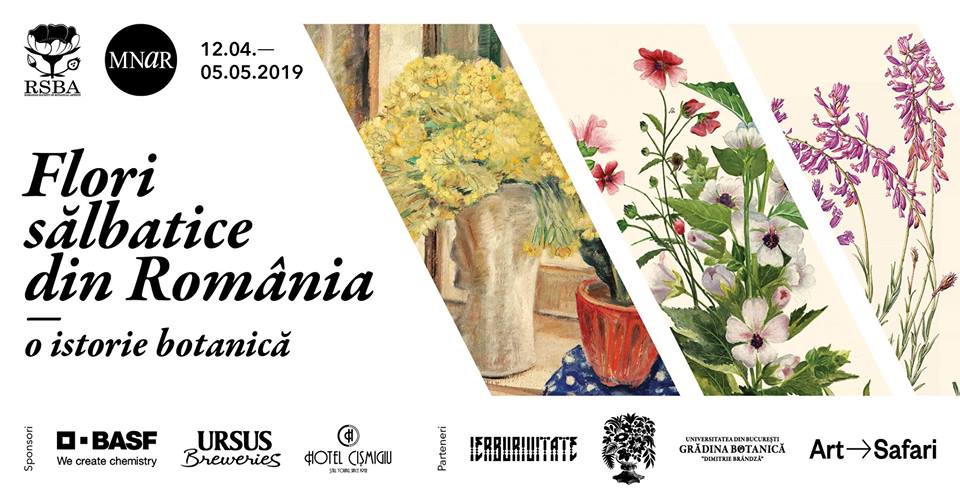 Flori sălbatice din România – o istorie botanică  