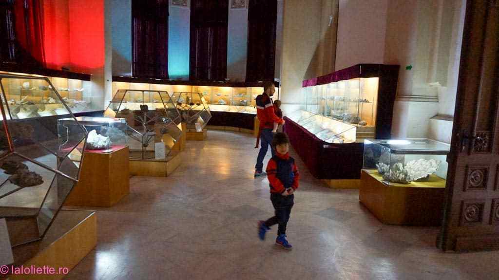 USR: Ministerul Culturii să prezinte de urgență o analiză privind starea muzeelor din țară