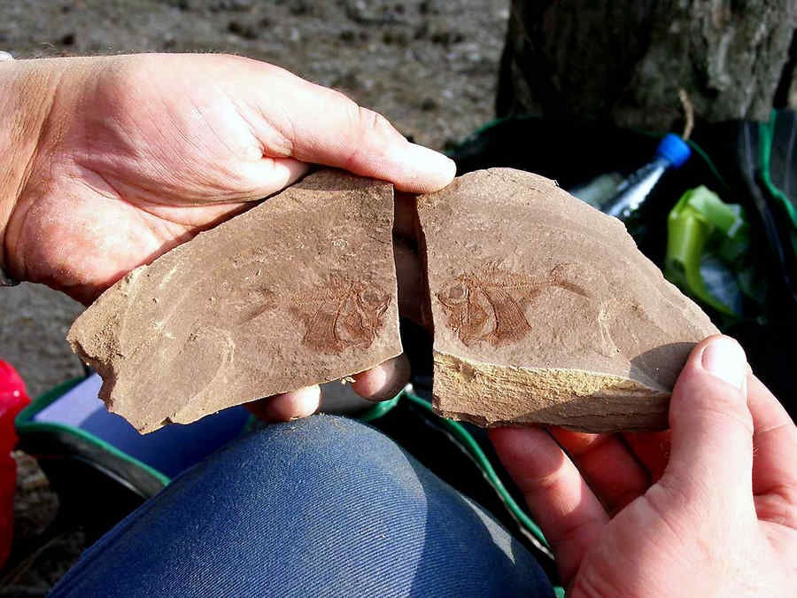 Piatra Neamț: străvechiul acvariu ferecat în stâncă