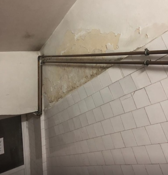 Cazul Cluj: Mizerie, mizerie, dar cu decorație în piept!