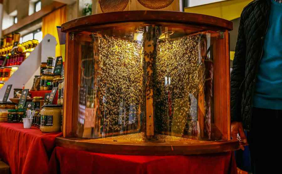 Lecții de apicultură dintr-o carte-stup