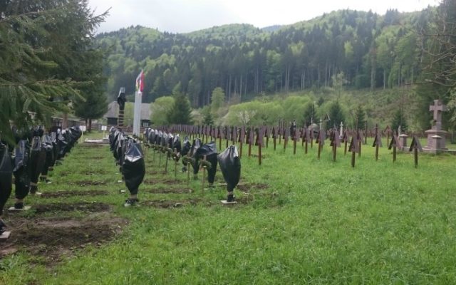 UDMR cere intervenţia autorităţilor în cazul cimitirului Valea Uzului