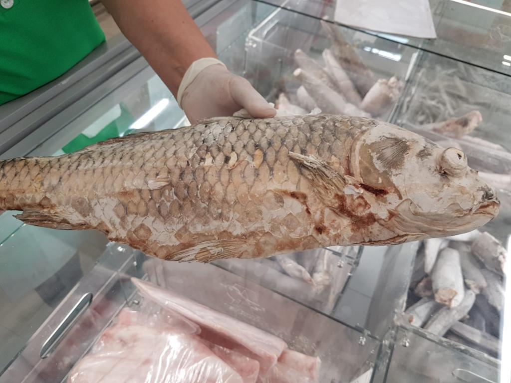 Tone de alimente expirate la o societate de pe litoral