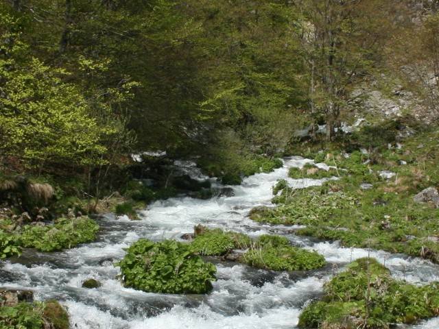 Frumusețile din Parcul Național Domogled-Valea Cernei