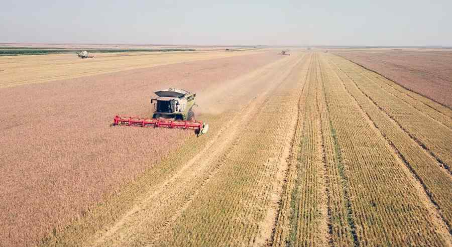 Vară românească la Segarcea