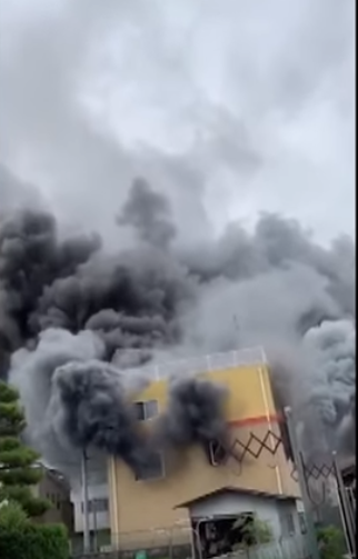 (VIDEO) Imagini cu masacrul din Japonia!