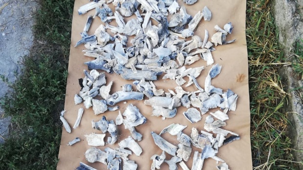 BREAKING NEWS. Noi oase acasă la Dincă