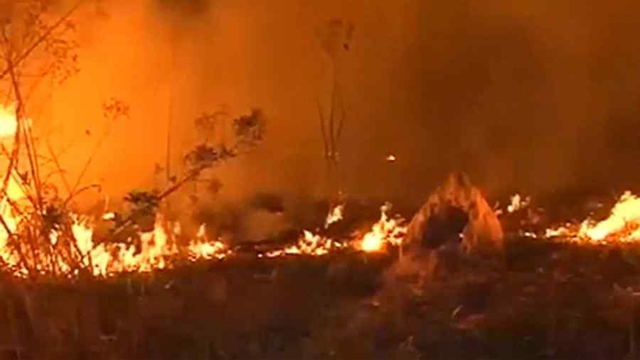 Două pericole: incendiile din Brazilia și ecologismul ca religie