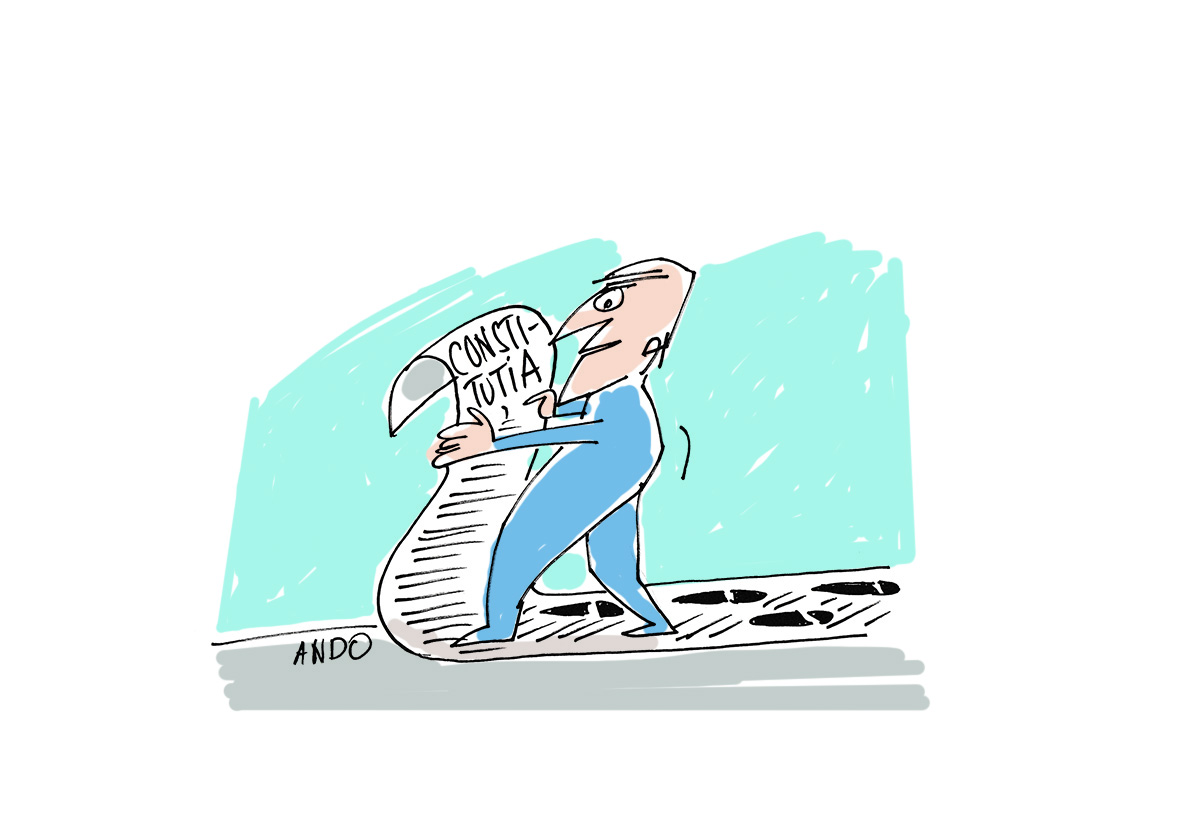 Constituția lui Iohannis