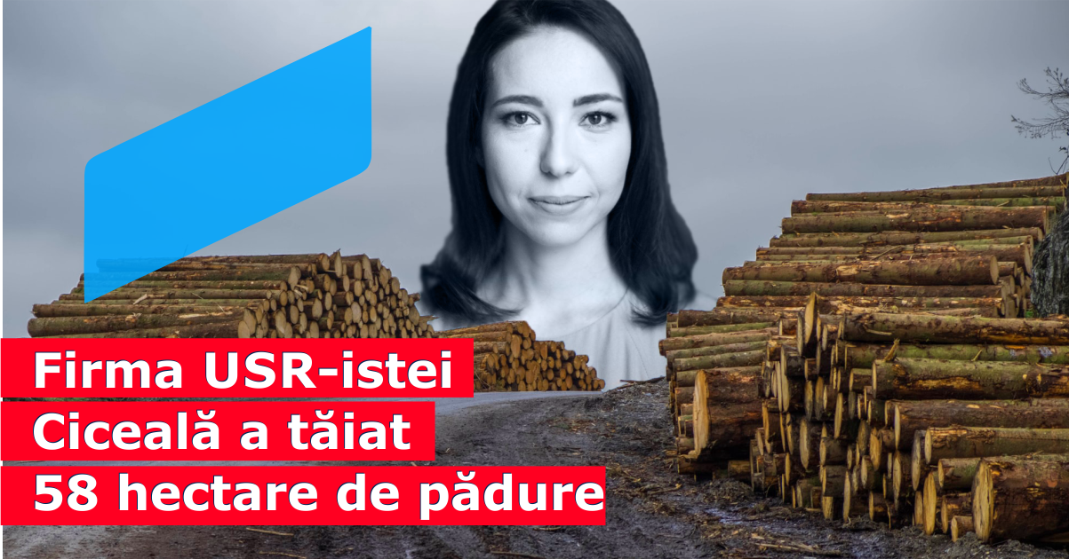 Drujba USR-istei Ciceală face ravagii