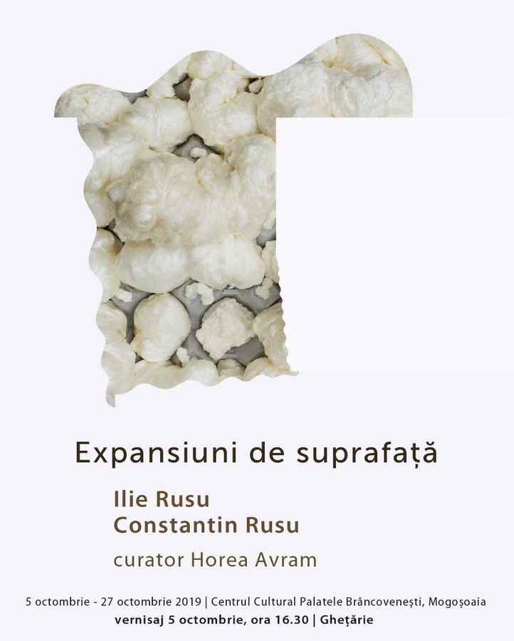 „Expansiuni de suprafață” la Palatele Brâncovenești
