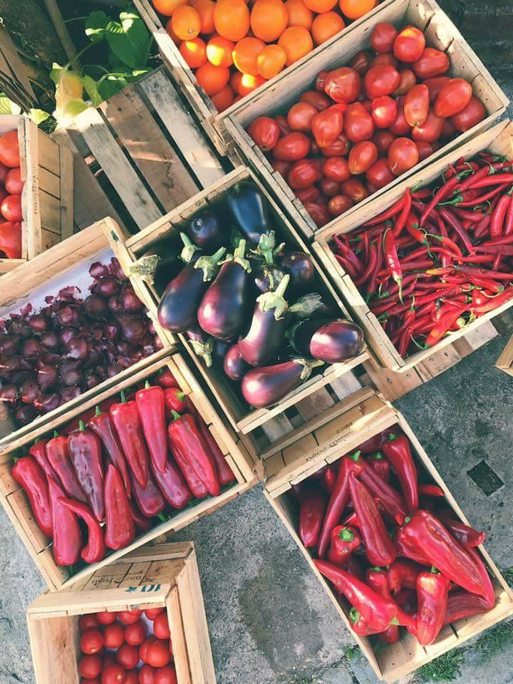 La coada Europei şi la agricultura ecologică