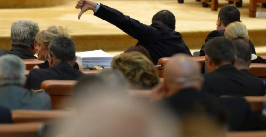 Partidele, cuib al infracțiunilor generice