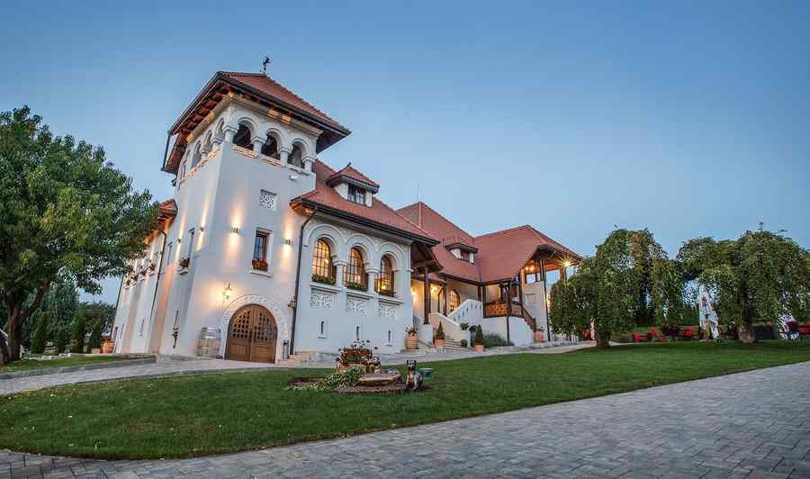 Conacul prahovean dintre vii sau farmecul anilor ‘20