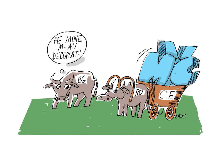 Asociații de magistrați, despre decizia CCR și MCV