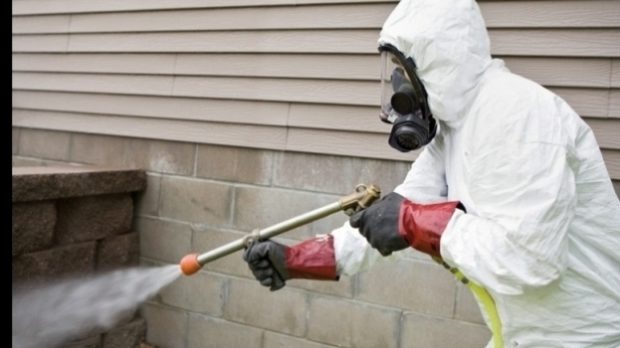 Primele dezvăluiri în legătură cu tragedia de la Timișoara