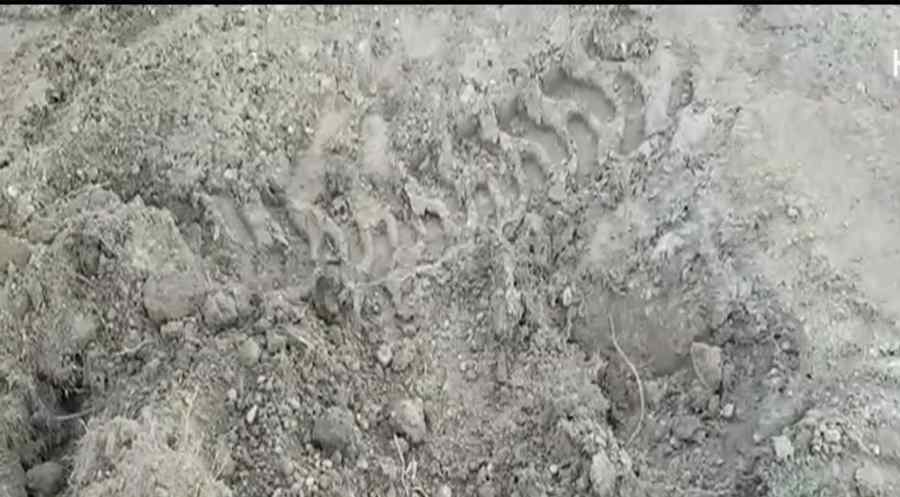 Mister risipit! Cui aparțin oasele de pe câmp