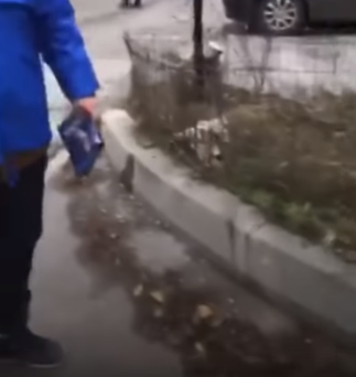 (VIDEO) Primarul smardoi: „Hai, marș!”