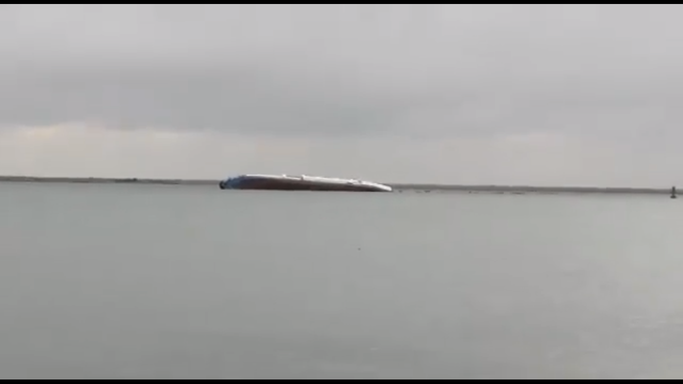 Alertă: O navă cu 14.000 de oi s-a răsturnat
