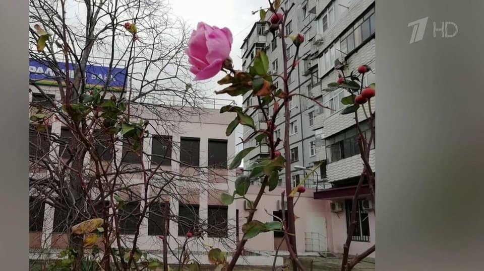 Dovada: A luat-o razna