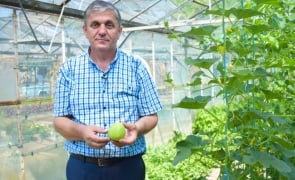 Cum își mai dă „Guvernul meu” cu stângul în dreptul