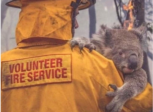 O lecție despre omenie