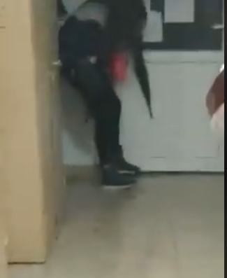 (VIDEO) Colegul meu, șobolanul!