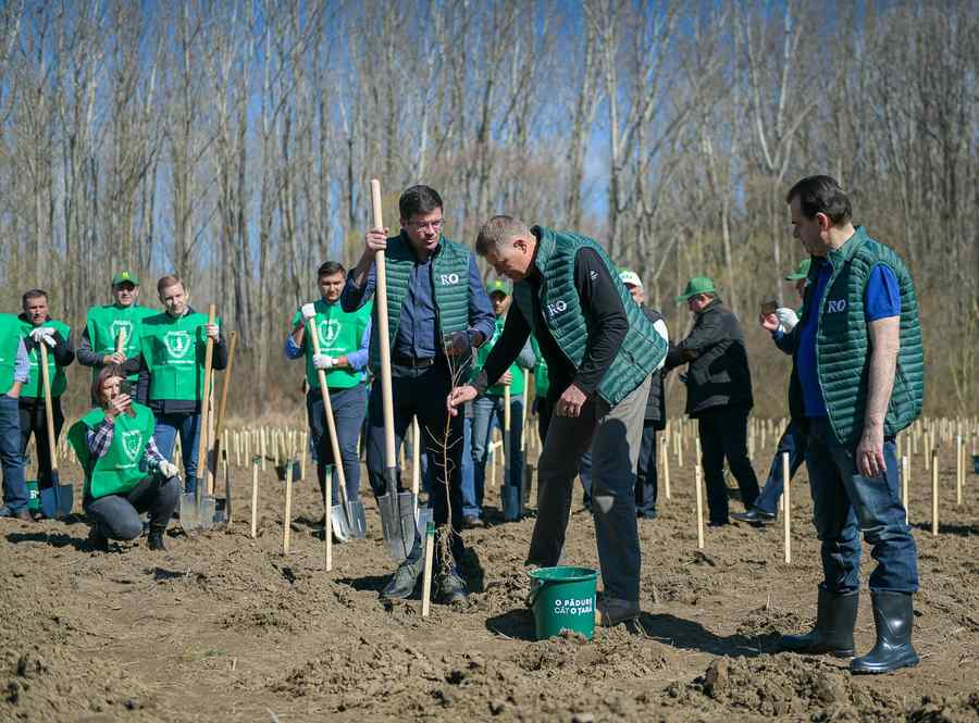 Iohannis și copăcelul de scos ochii