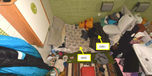 Româncă violată într-o toaletă pentru handicapați din Suedia