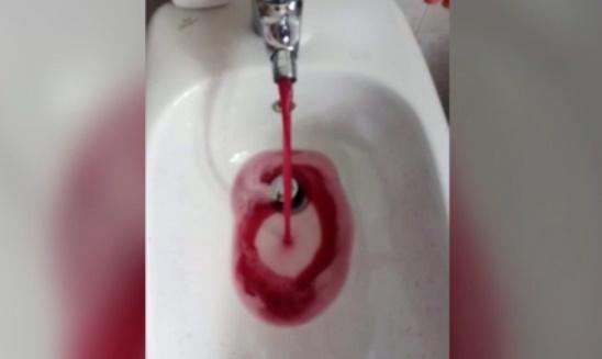 (VIDEO) Ai mai văzut așa „minune”?