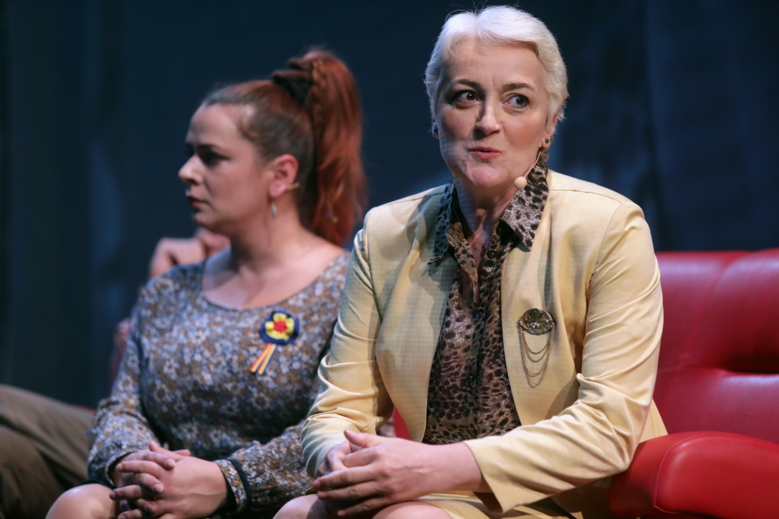 Teatrul Național din Timișoara vă invită la teatru… de acasă