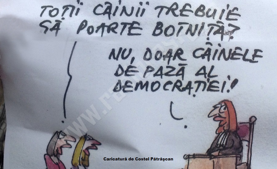 Cîinele de pază al democraţiei a devenit animalul de companie al Puterii