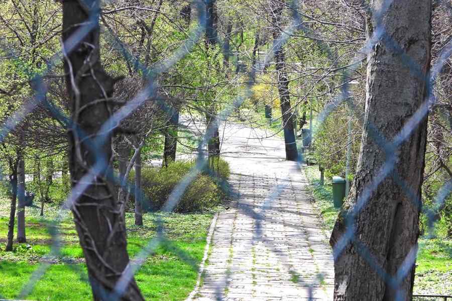 Inconștiența nu rămâne nepedepsită. S-au închis și parcurile (fotoreportaj)