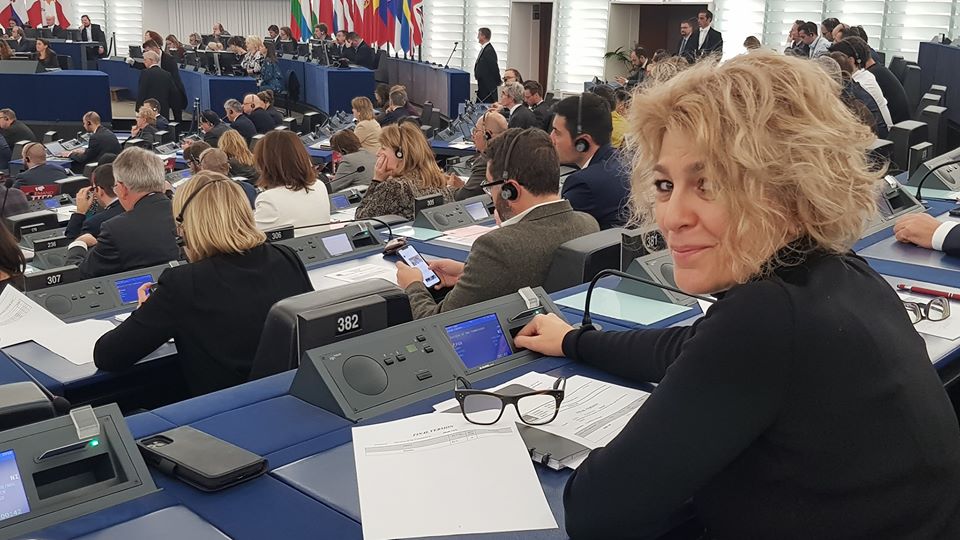 Carmen Avram despre PNRR: Riscăm să pierdem