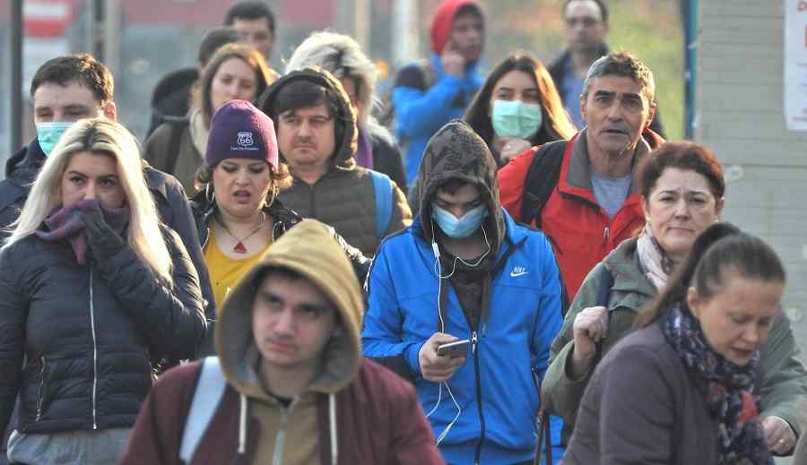 La mulți ani de ziua mamiferului!