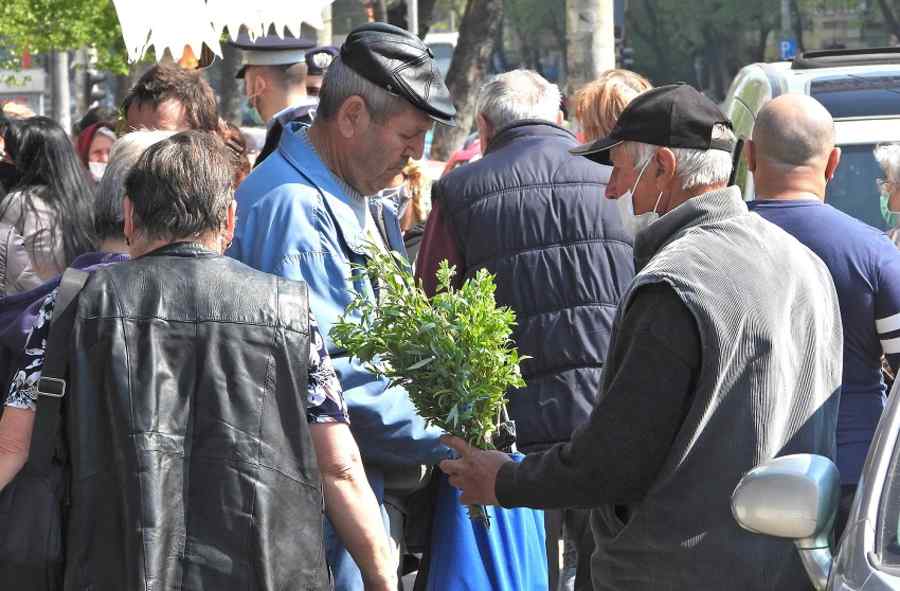 Florii de Rahova (fotoreportaj)