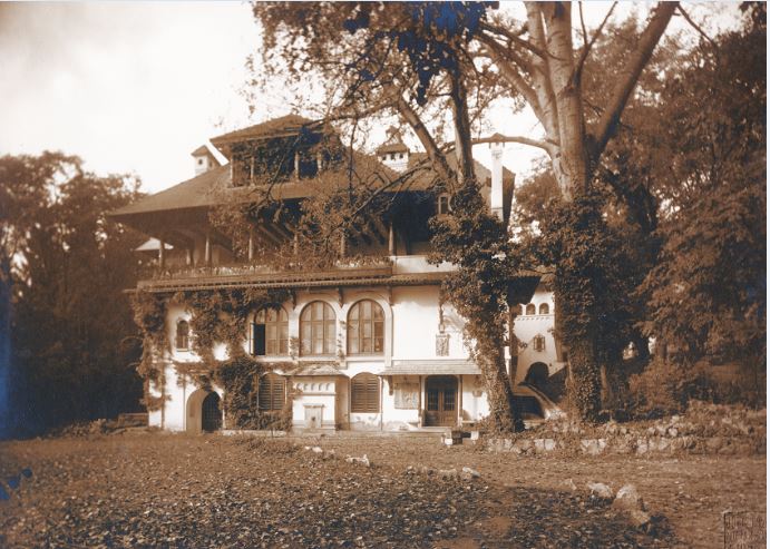 DOMENIUL FLORICA- FERMA, CONACUL ȘI CAPELA BRĂTIENILOR (I)