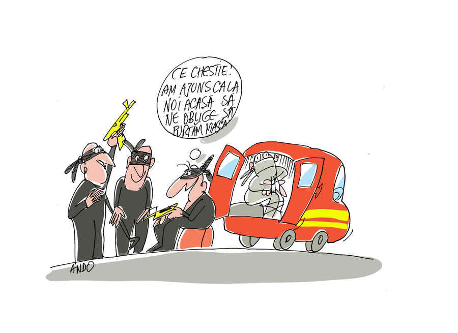 Întoarcerea „DIASPOREI“