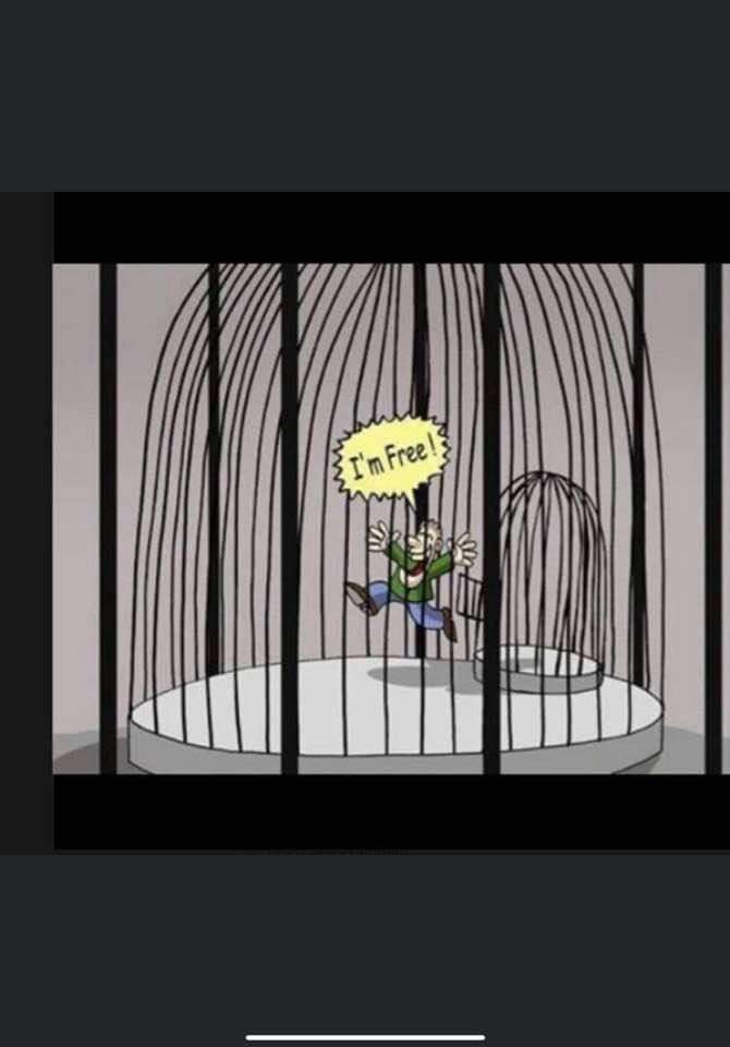 Din cușcă-n cușcă sau iluzia libertății