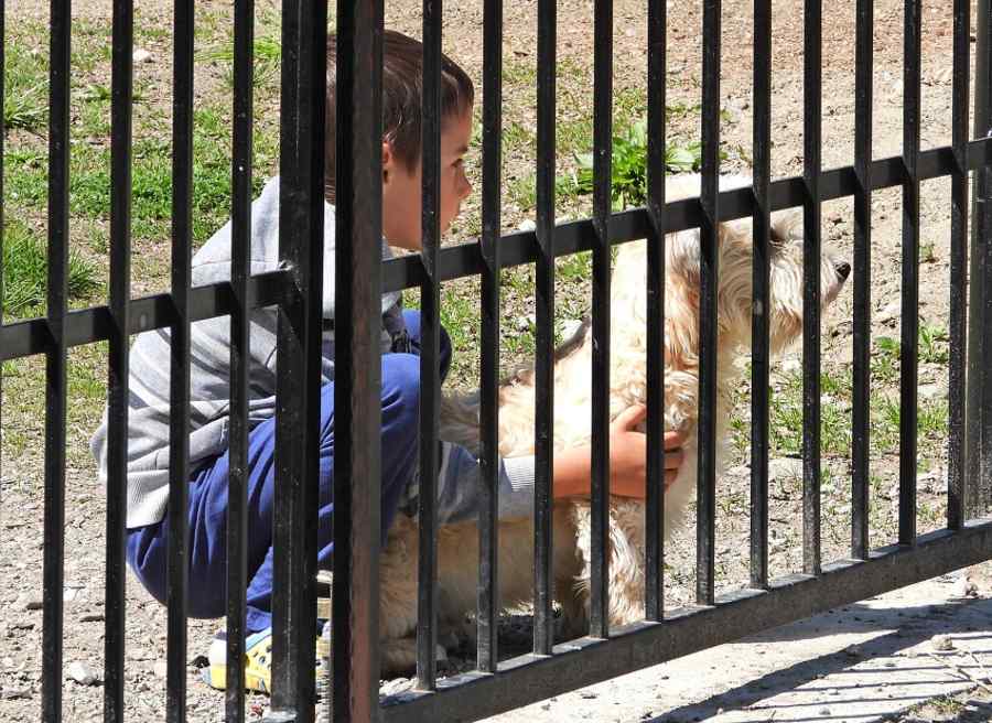 De la frică la ură