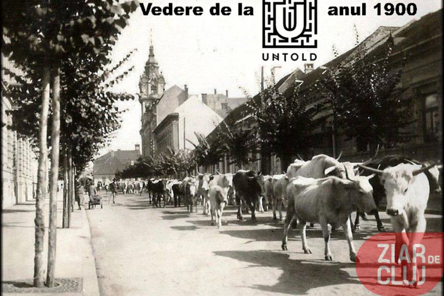 Noi dezvăluiri despre UNTOLD şi Electric Castle