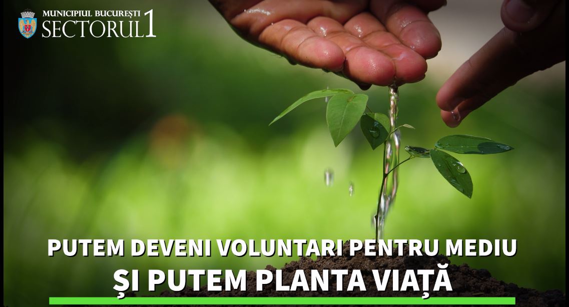 Primăria Sectorului 1: Acționăm responsabil, în echilibru cu natura