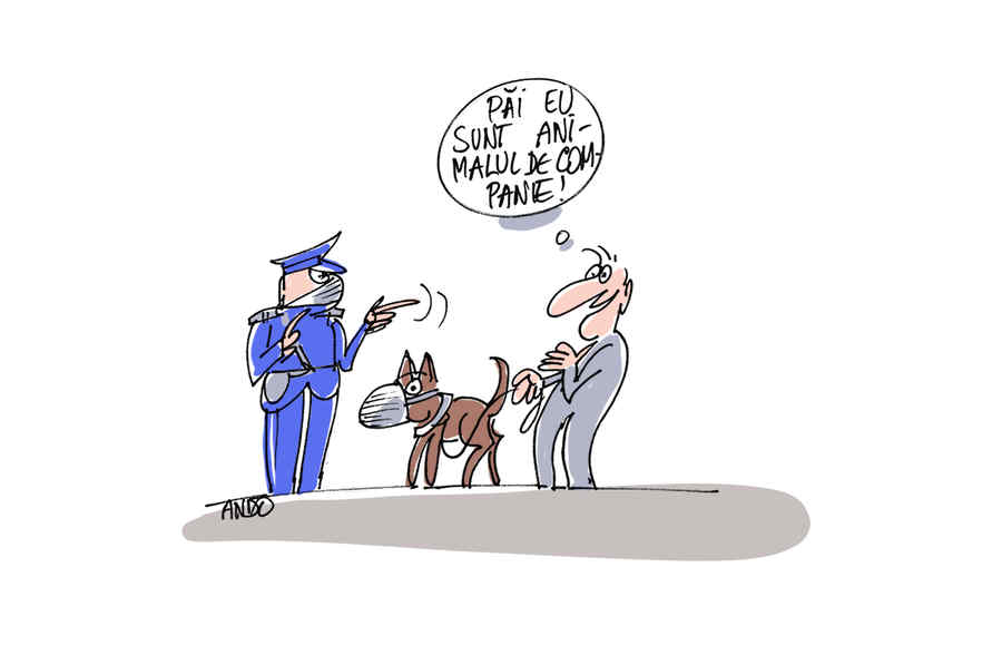 Cum privești problema
