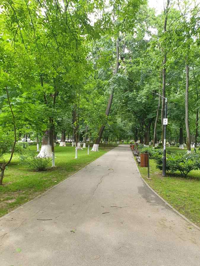 Acționăm responsabil, în echilibru cu natura!