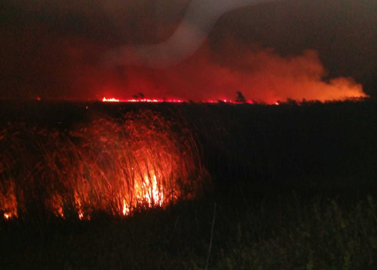 Foc în Deltă! De două ori mai mult decât în 2019