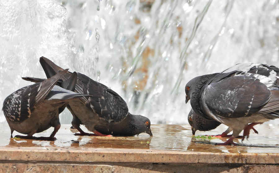 ANM a emis noi avertizări de temperaturi extreme