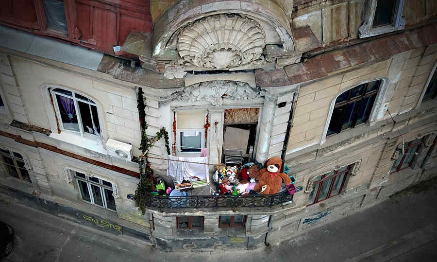 (FOTO) Unde se duc plușurile când se duc