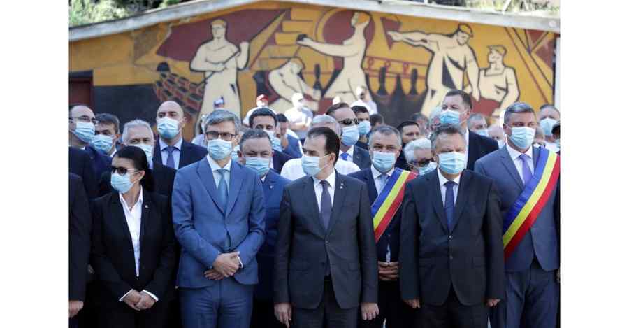 Doi vulpoi de acvariu